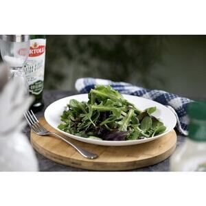 Coza Design 10in White Plates Durable Plastic Set of Six (6) BPA Free